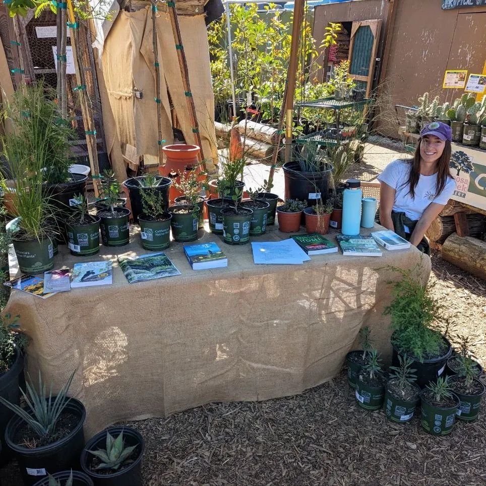 @moosacreek is set up and ready to chat native plants until 1. Come meet and greet and learn more about Ocatillo, as well as other endangered plants native to Southern California.

We know that education is central to preserving species and variety a