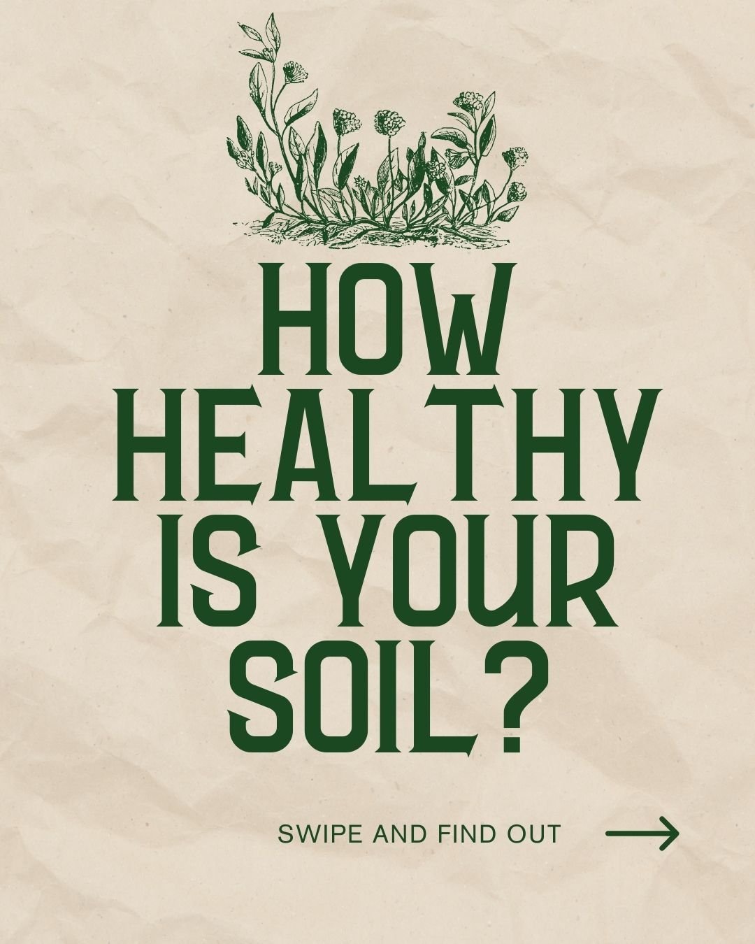 Curious about the secret to a lush garden? 

Start with the soil! Learn the simple steps to assess your soil's health and ensure your plants get the perfect foundation. Our expert tips make it easy!

#SoilTesting #GardeningSuccess #SustainableGardeni