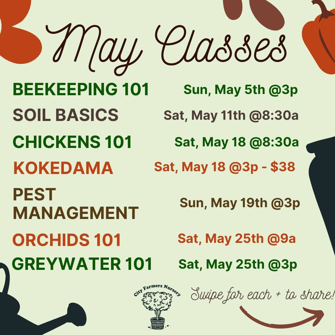 Our May events kickoff with 🐝

Sunday, 5/5 Beekeeping 101
Saturday, 5/11 Soil Basics with Sam
Saturday, 5/18 Chickens 101 and @kodamaforest 
Sunday, 5/19 Pest Management
Saturday, 5/25 Orchids 101 and Greywater with @catchingh2o_sd 

For over 40 yea