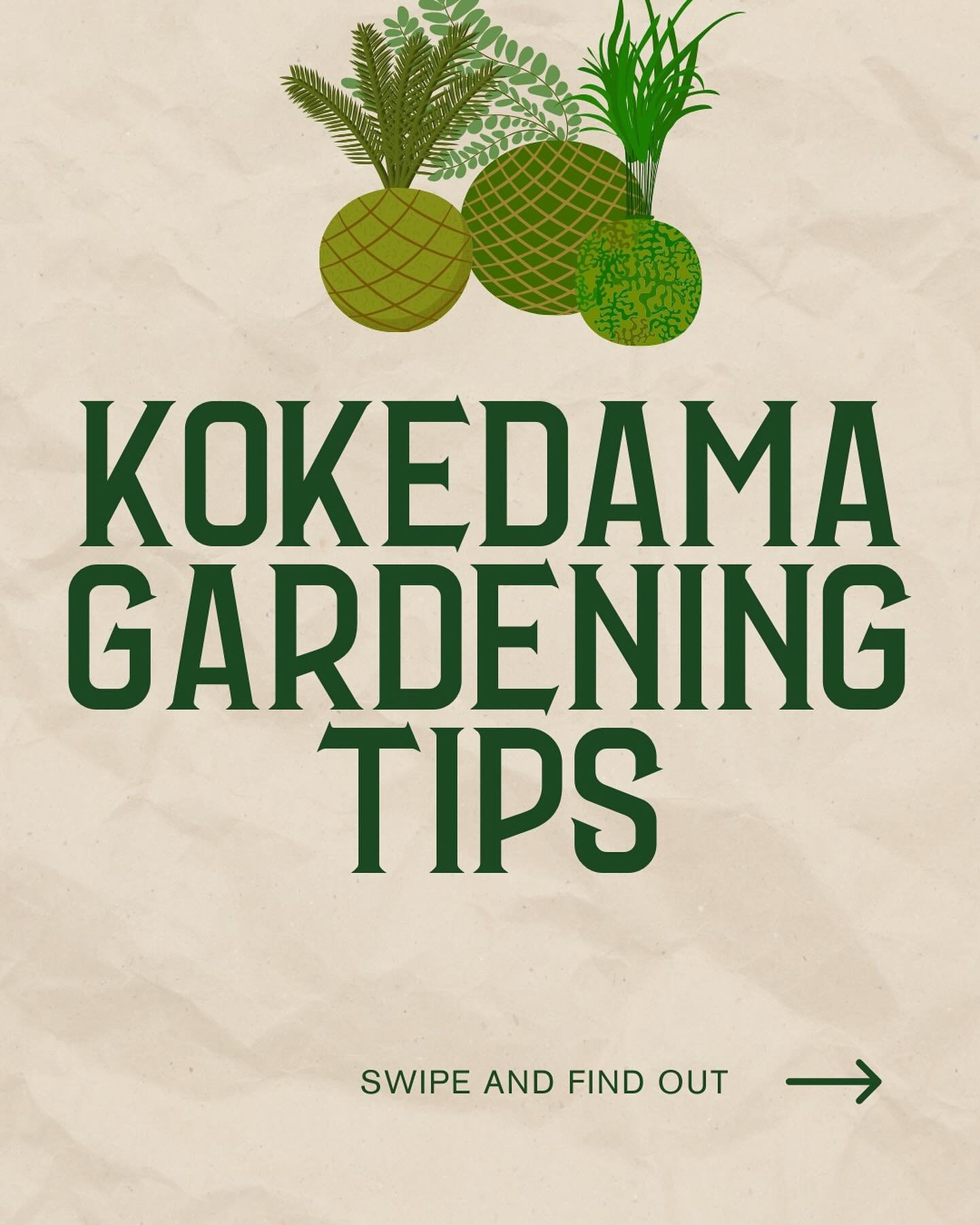 Curious about creating a beautiful indoor garden with minimal effort? 🌿 Kokedama is a unique gardening technique where plants thrive in a moss ball. Perfect for both indoor and outdoor settings, it&rsquo;s a delightful hobby that adds beauty and imp