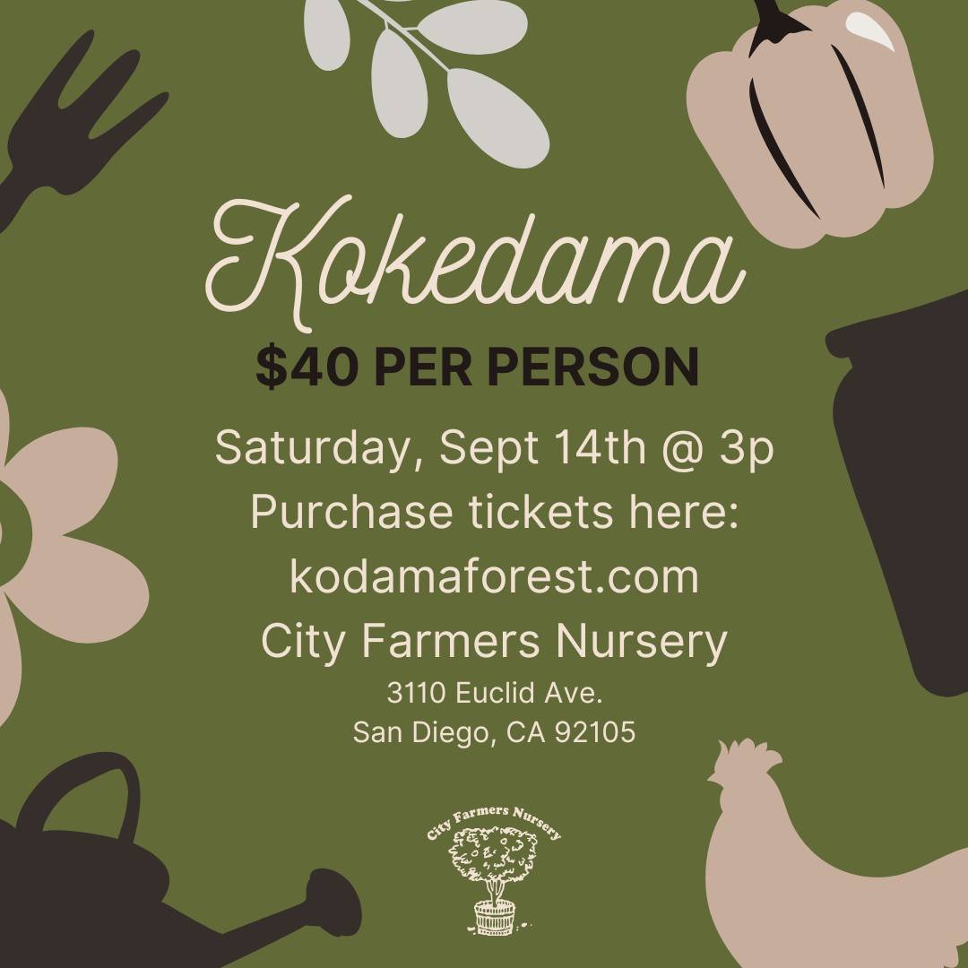 Weekend UPDATES!
🎍 Kokedama Workshop has a few spots left - 3p Saturday
☀️ Sunday's Solana Center Event is going to be great!

p.s. Greywater class has been moved to October

It's the last official weekend of Summer - come see us!