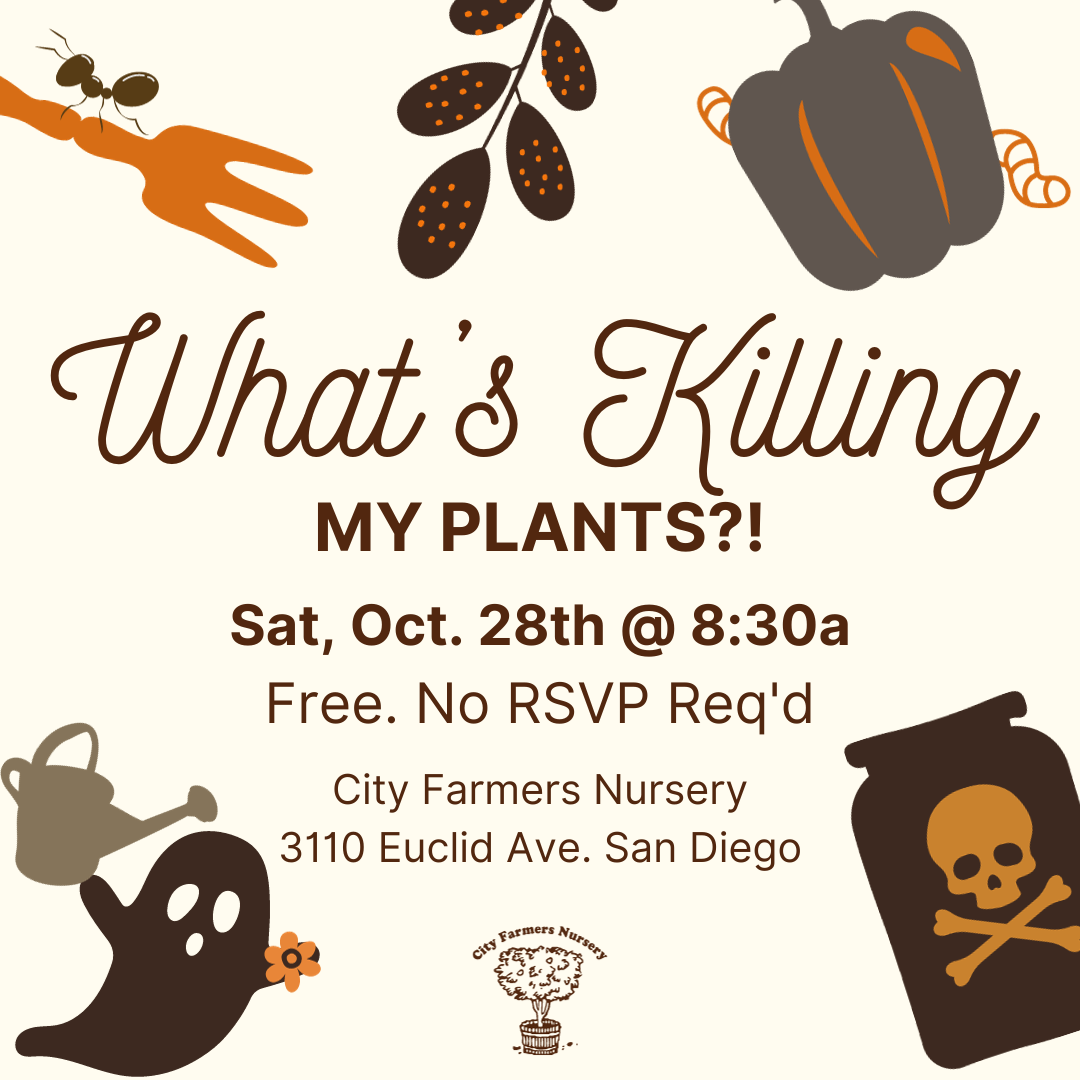 What's Killing My Plants? — City Farmers Nursery