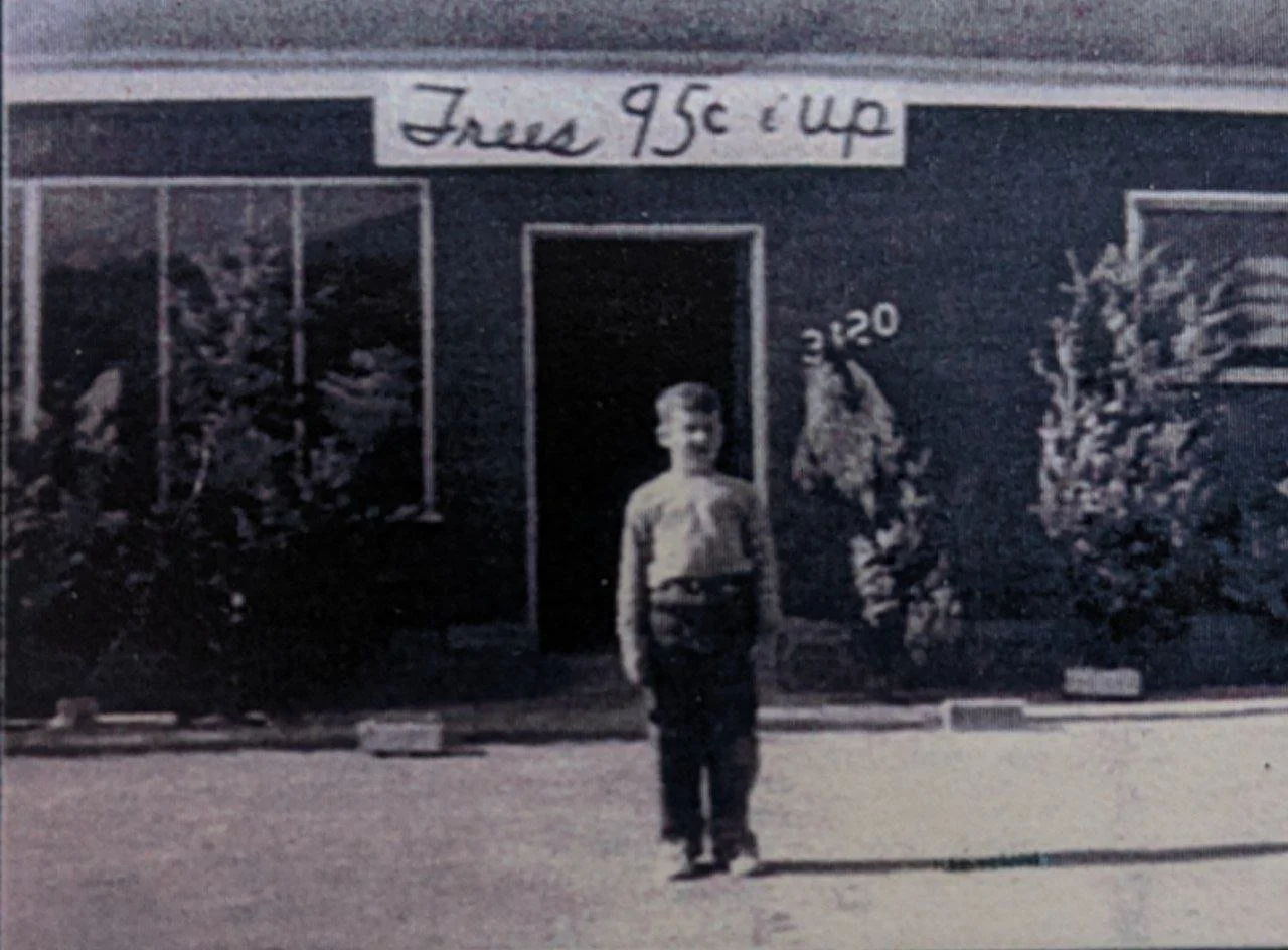 San Diego Sustainable Christmas Trees — City Farmers Nursery