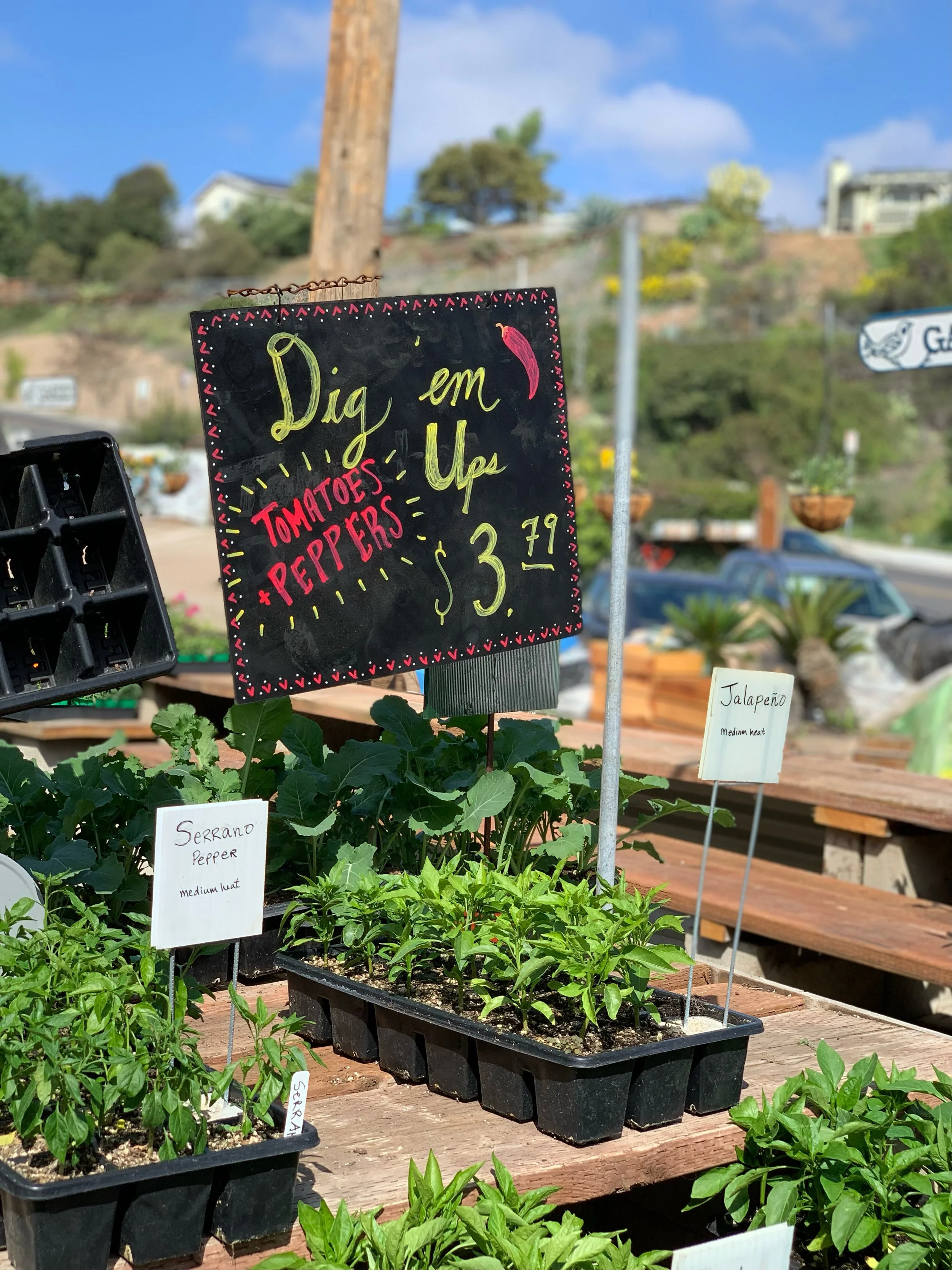 News — City Farmers Nursery