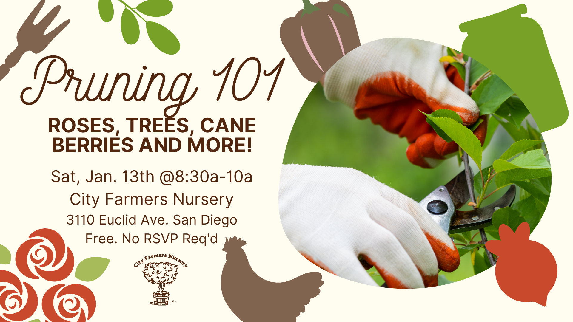 Pruning 101 Roses, Trees, Cane Berries and More! — City Farmers Nursery