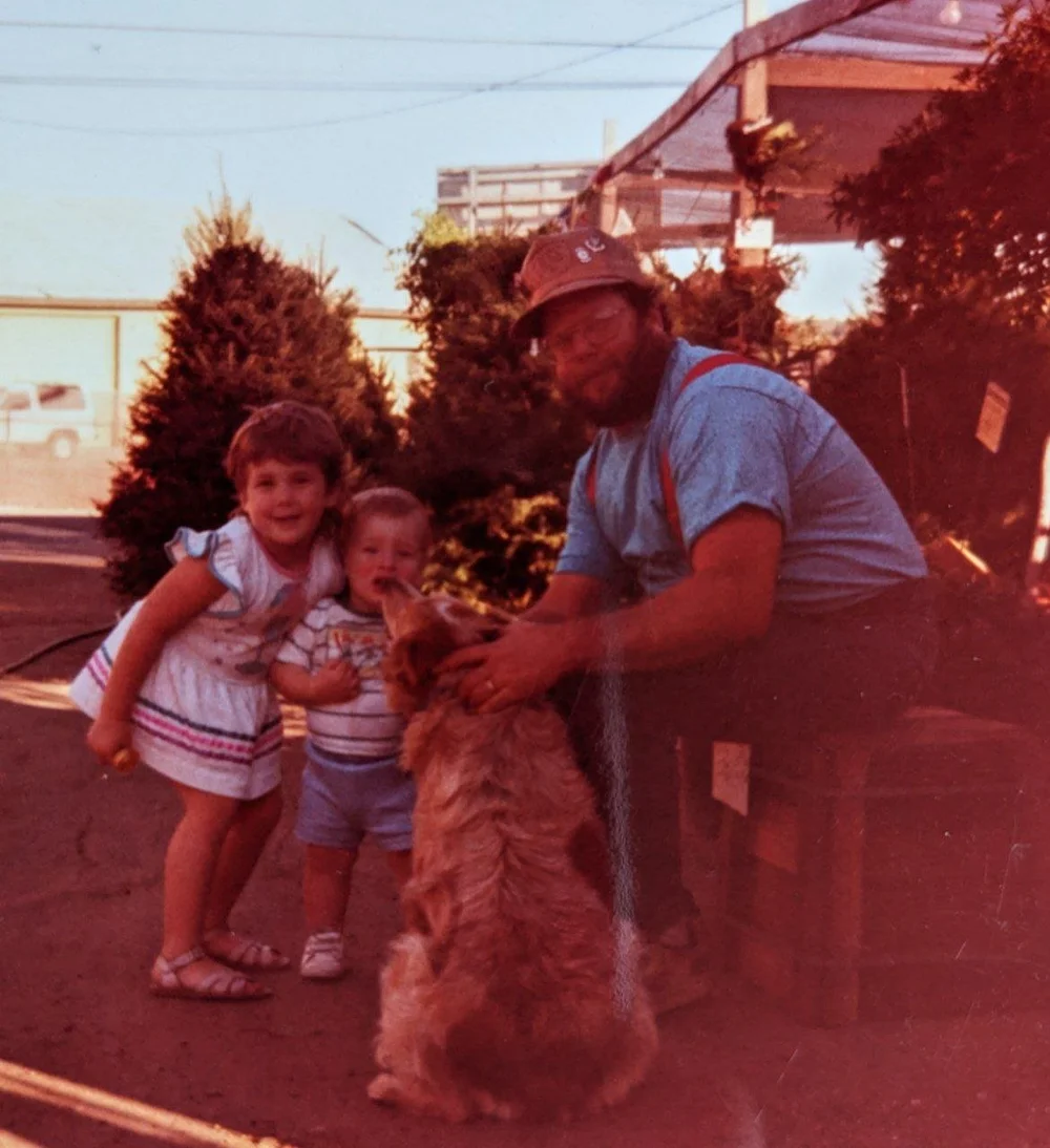 San Diego Sustainable Christmas Trees — City Farmers Nursery