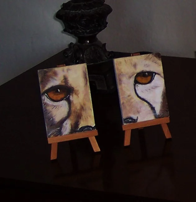 The Eyes of the Cheetah