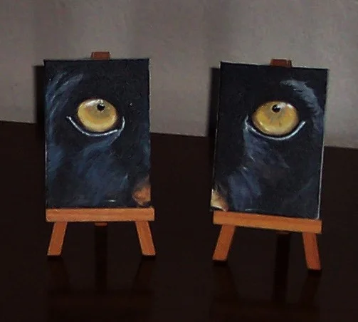 Panther's Eyes