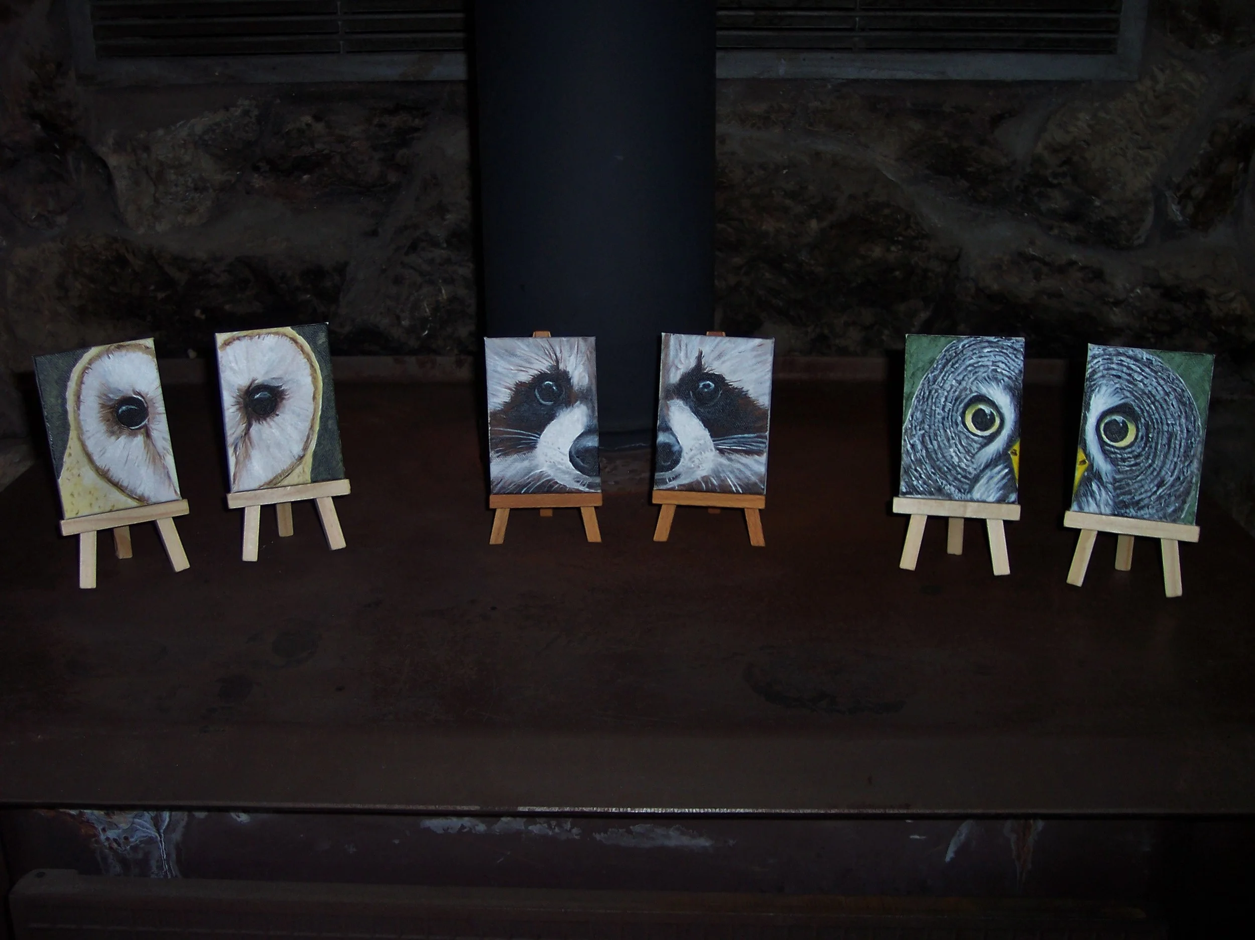 Barn Owl, Raccoon, Grey Owl.