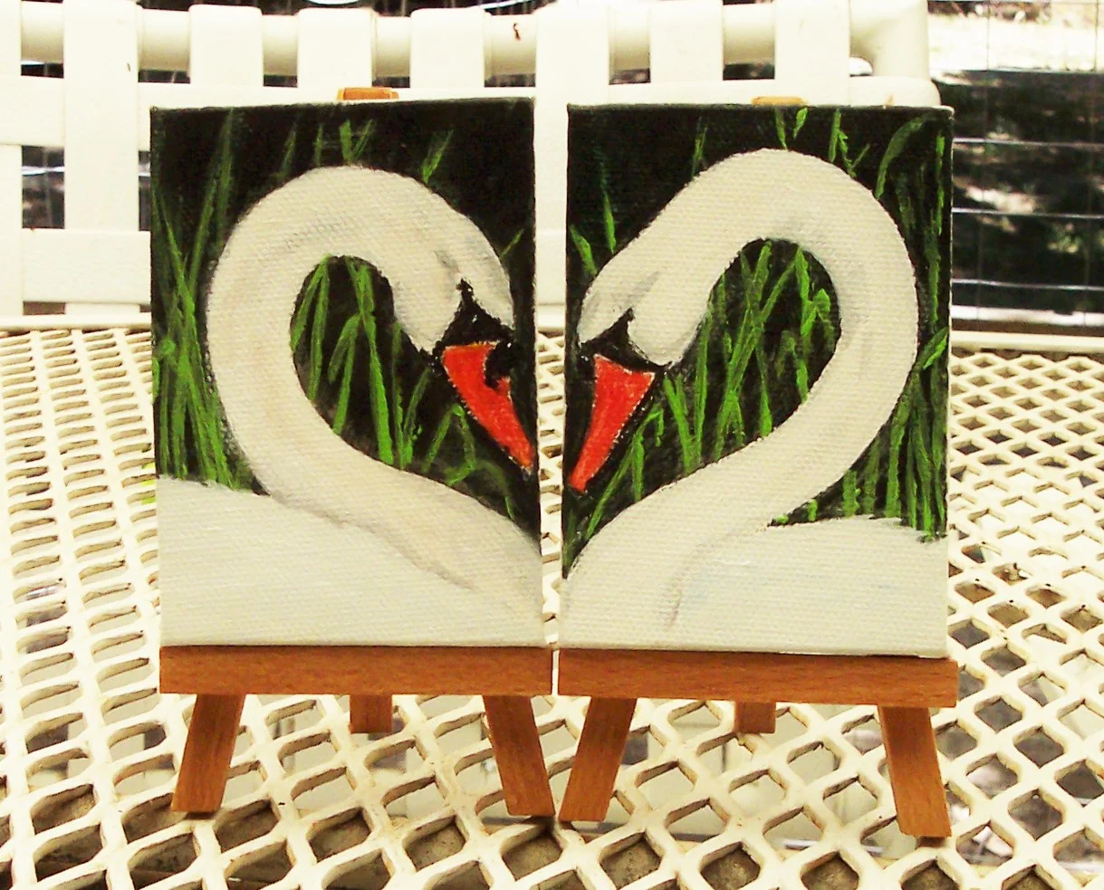 Friendship - Swans