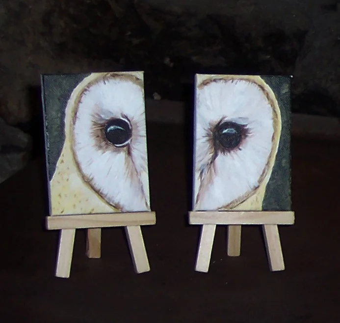 Barn Owl