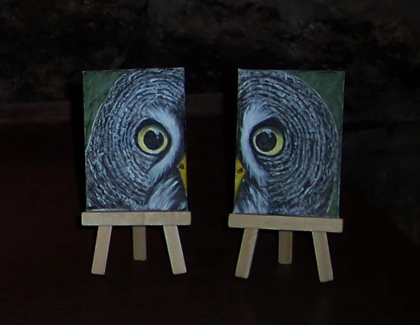 Grey Owl