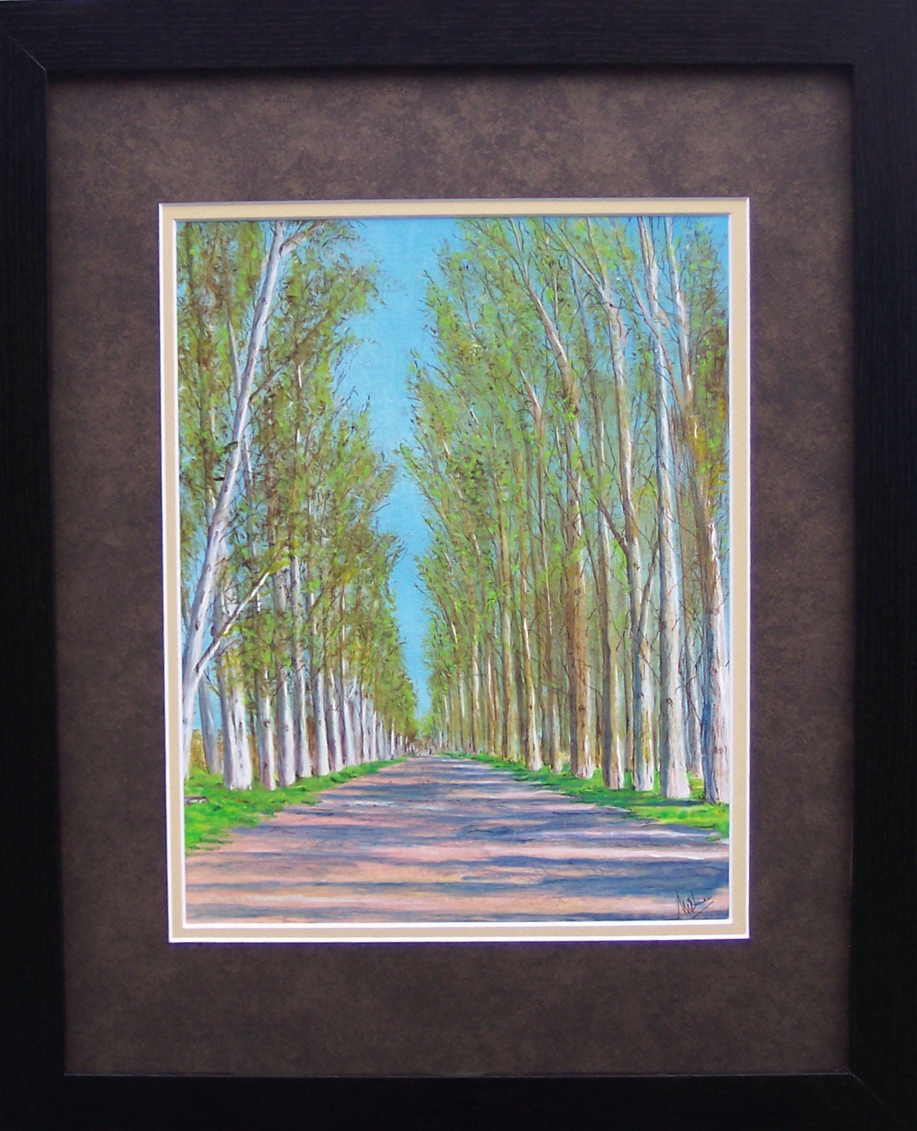 Eucalyptus Avenue