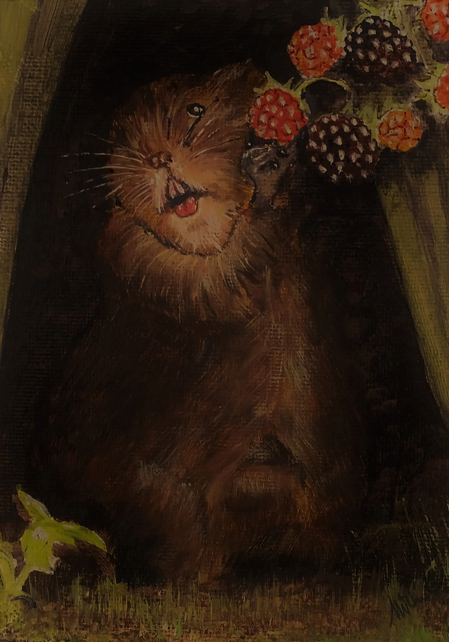 Water Vole at the Blackberries