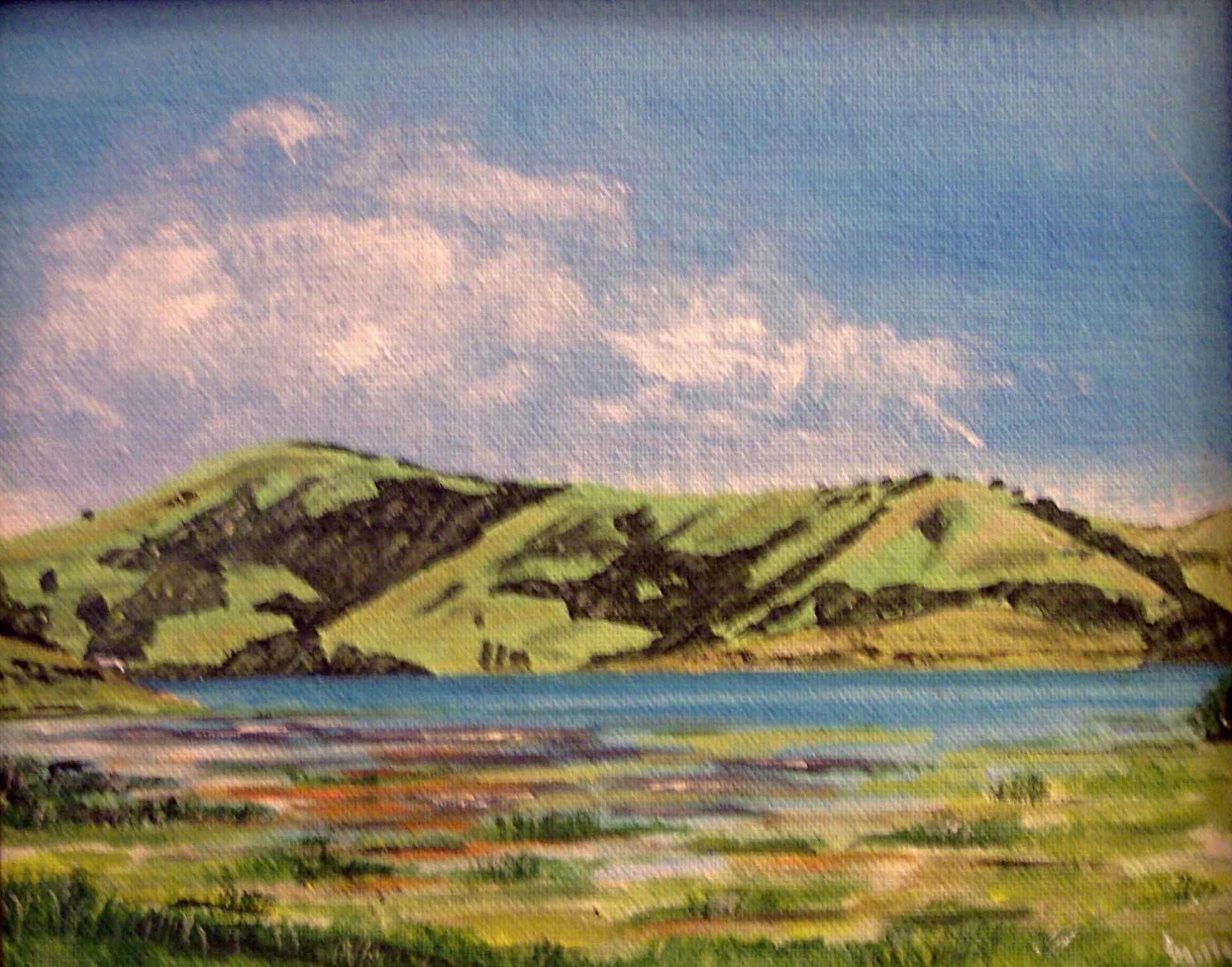 Stafford Lake - low water