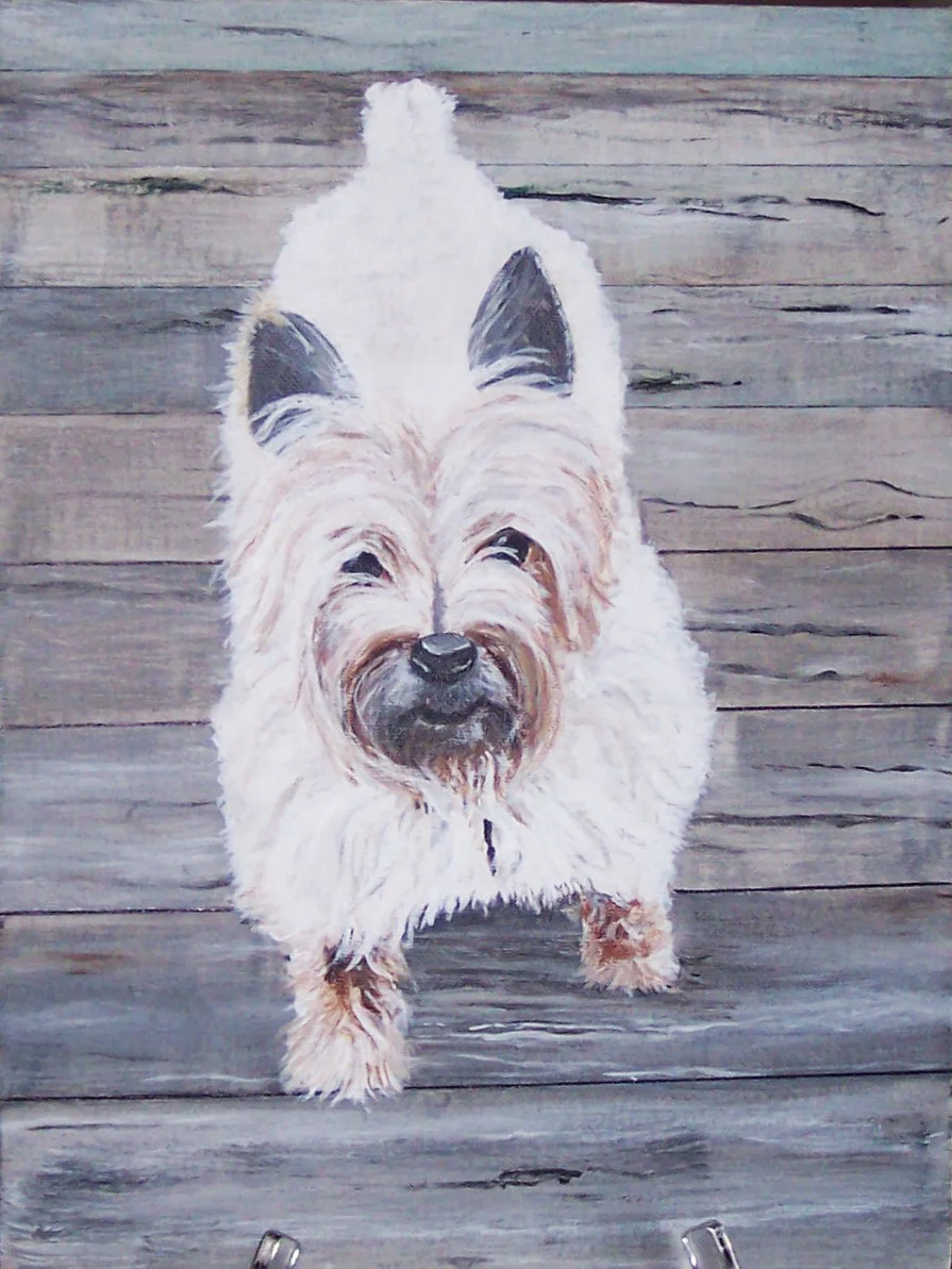 100_0848.JPG