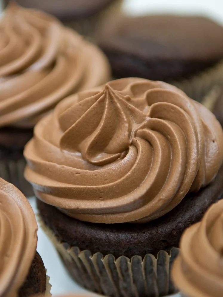 Triple European Chocolate Cupcakes