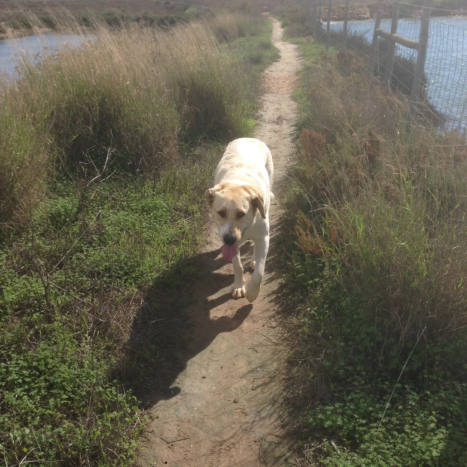 Great Circle Route, Algarve Holiday, Our newest member