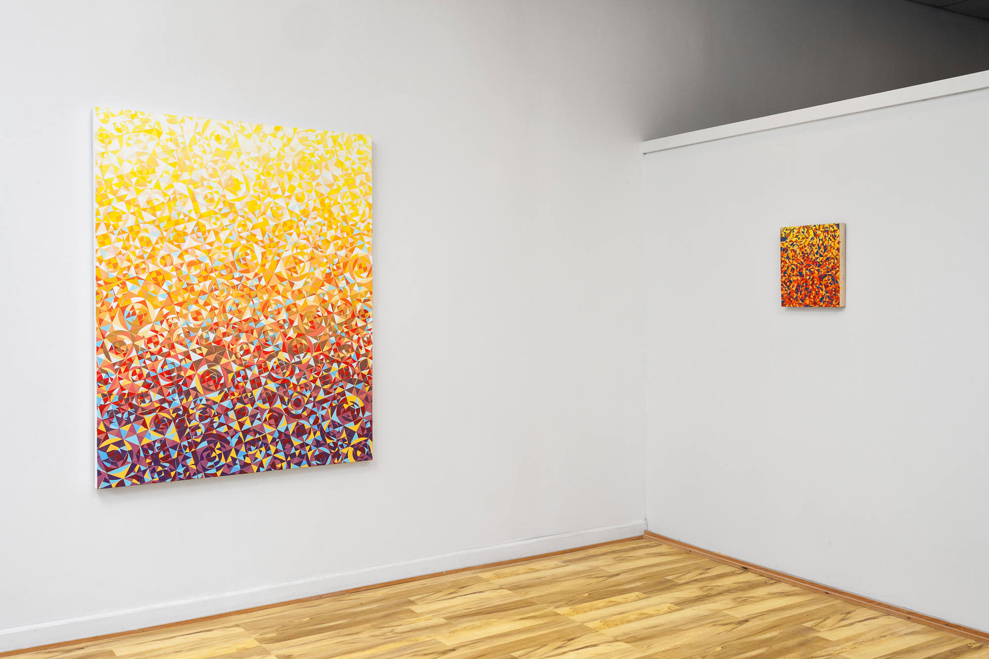 Installation at Free Range Gallery