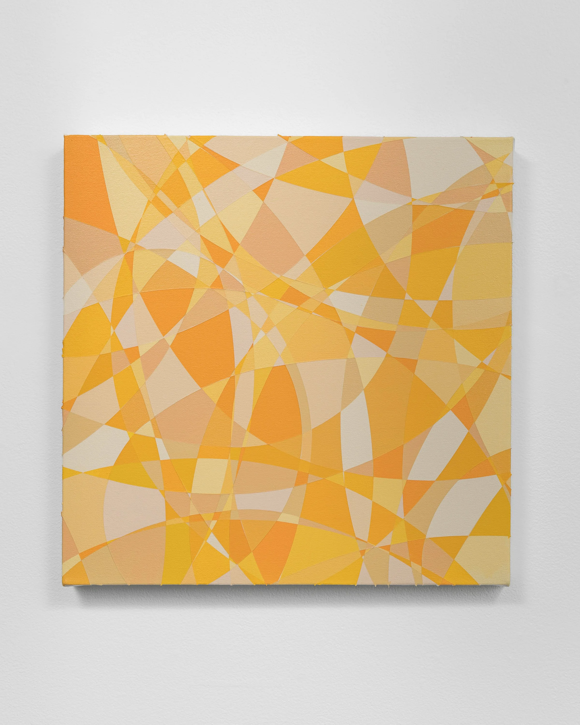 293 (Citrus Tangle)