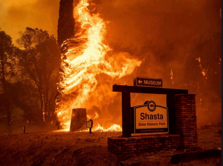 Policy#7: Is Insurance setting the economy on FIRE?