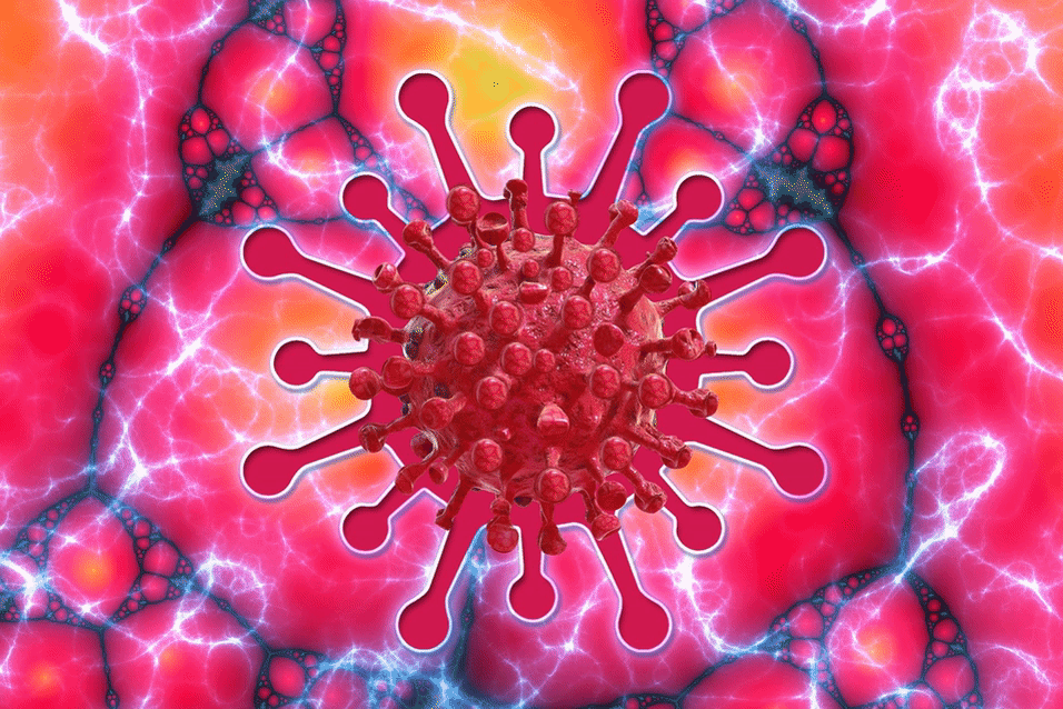 17.1 A Coronavirus Crisis or an Individualism Crisis? A look how elite "priorities" got us into this mess