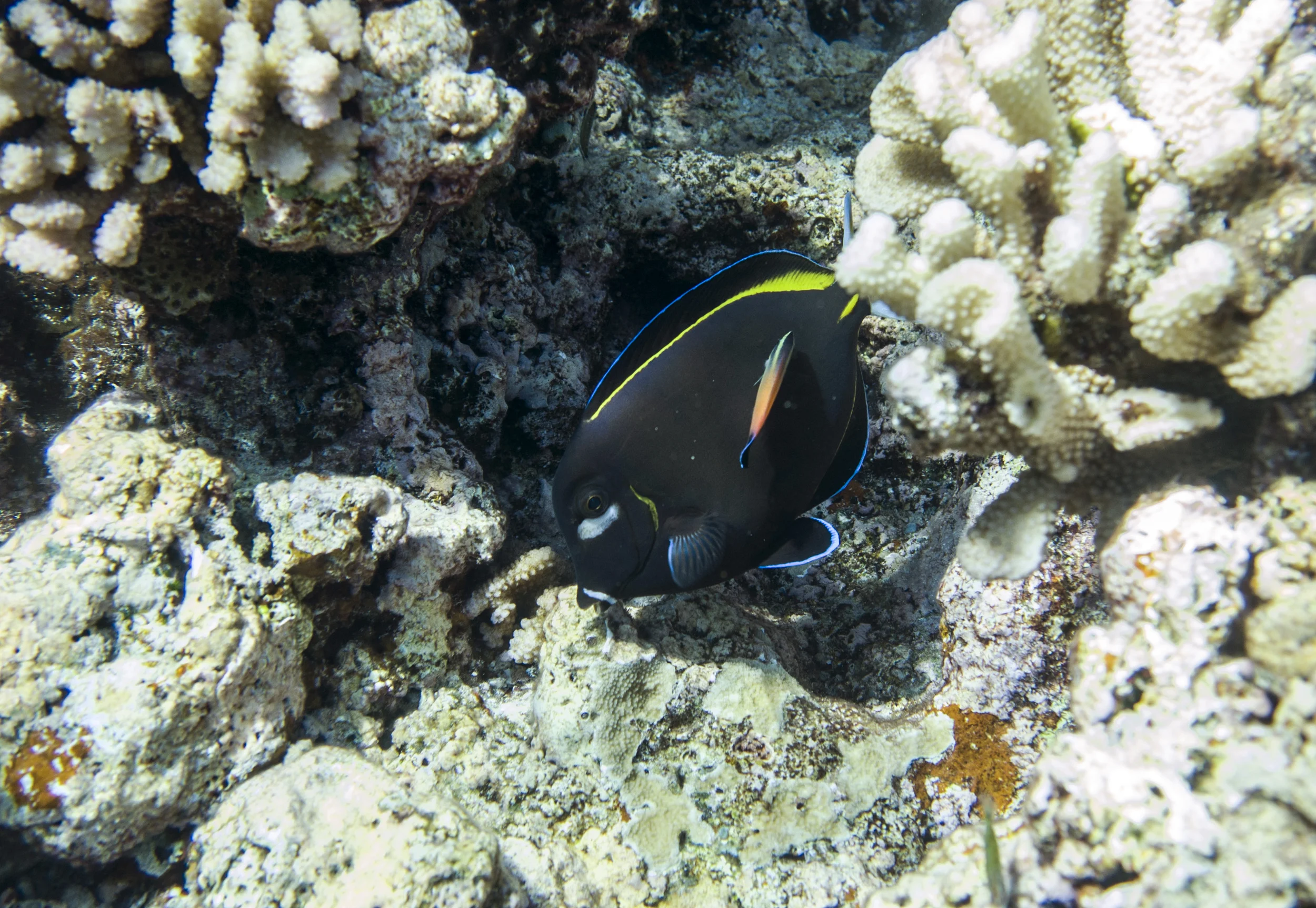 DSC_7020.jpg