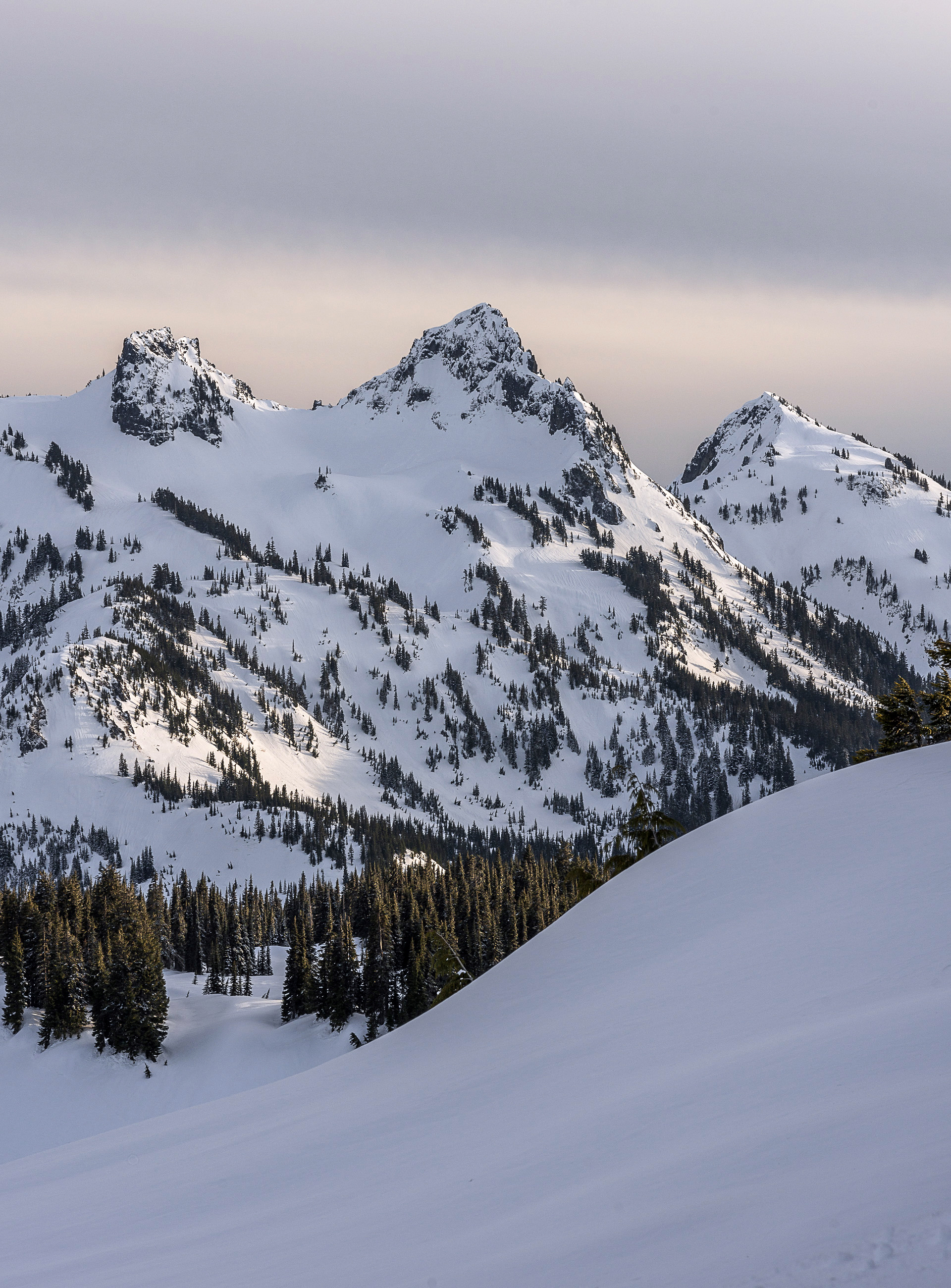 Golden hour overlooking the Tatoosh Range from Mazama Ridge, Mount Rainier National Park, WA