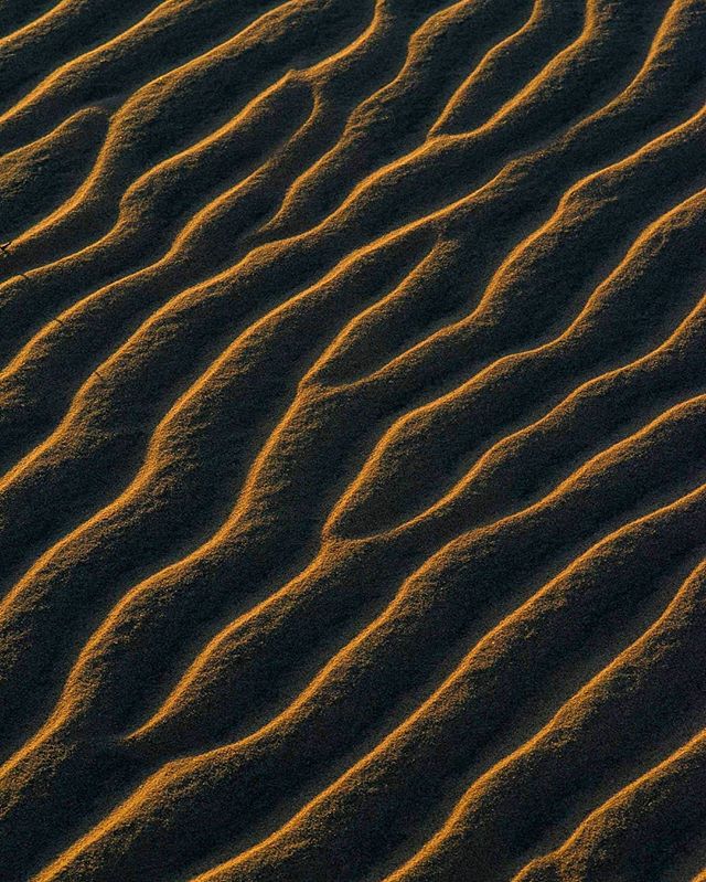 Sand brain

#mojave #desert #sand