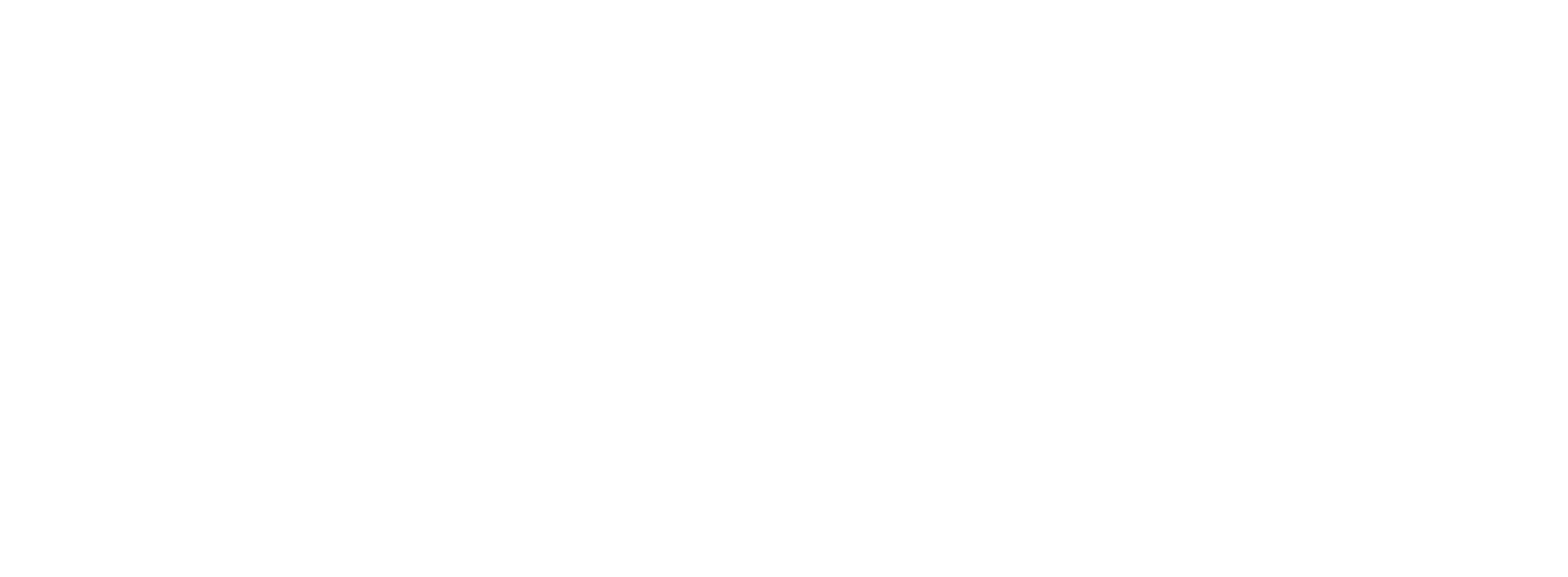 Ontario Youth Parliament