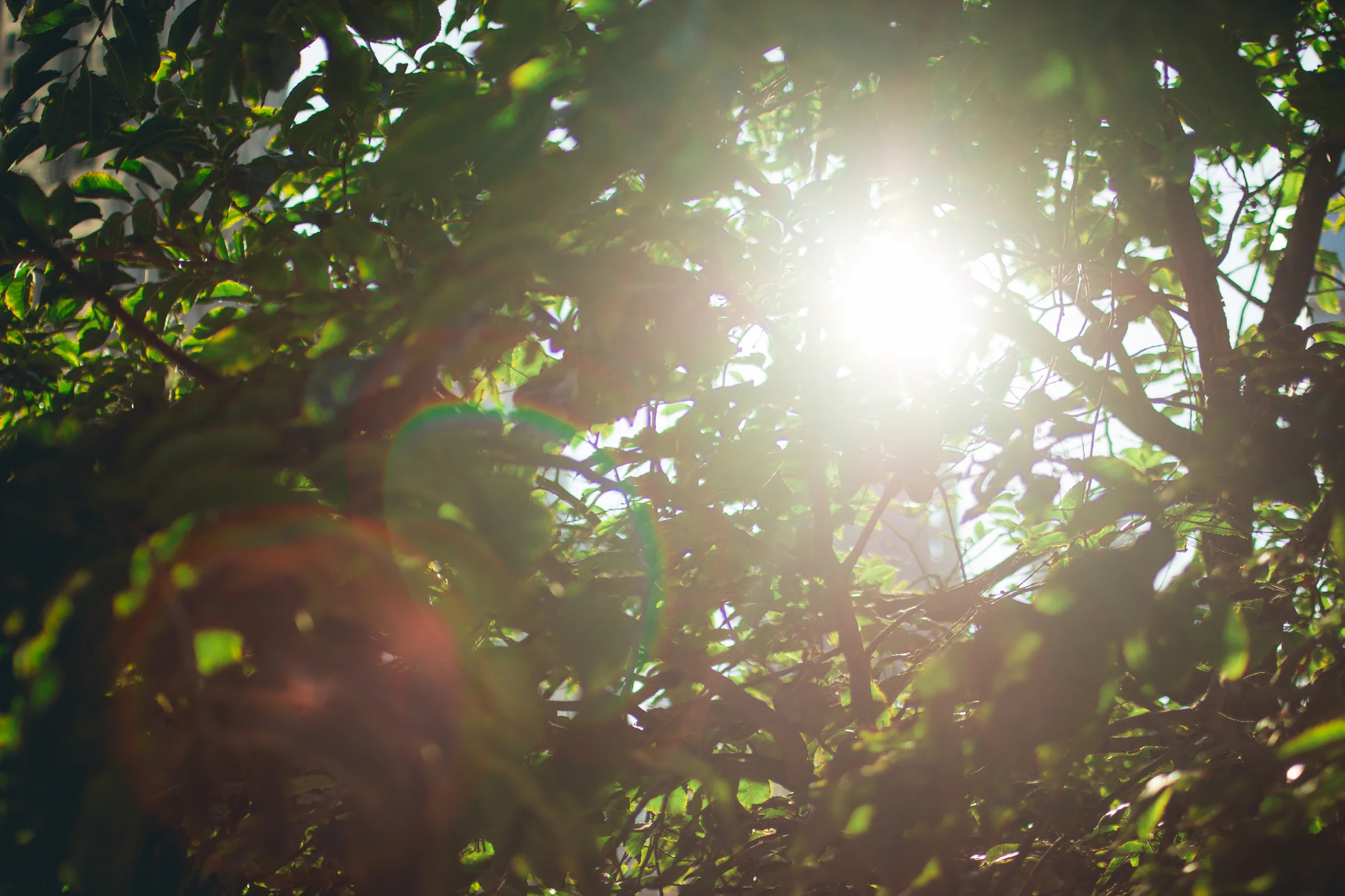 Declaration of Independence from Fear