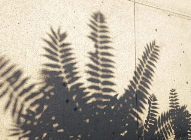 Poetry by Melissa Wittnebert