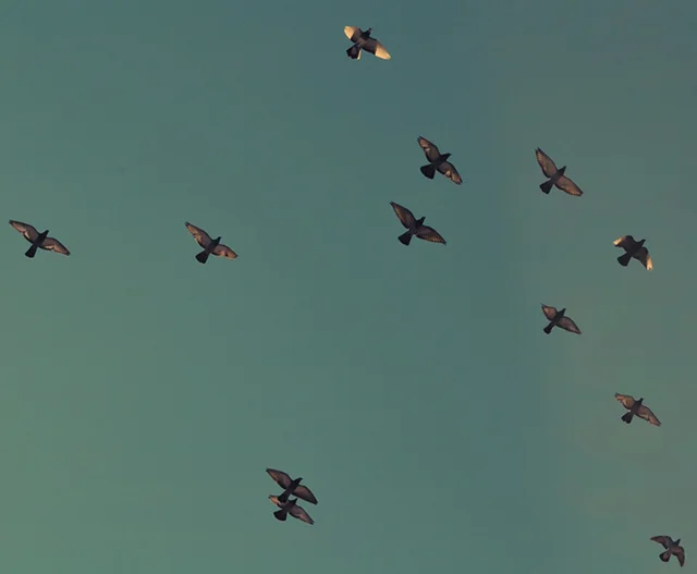 To Dance Spontaneously