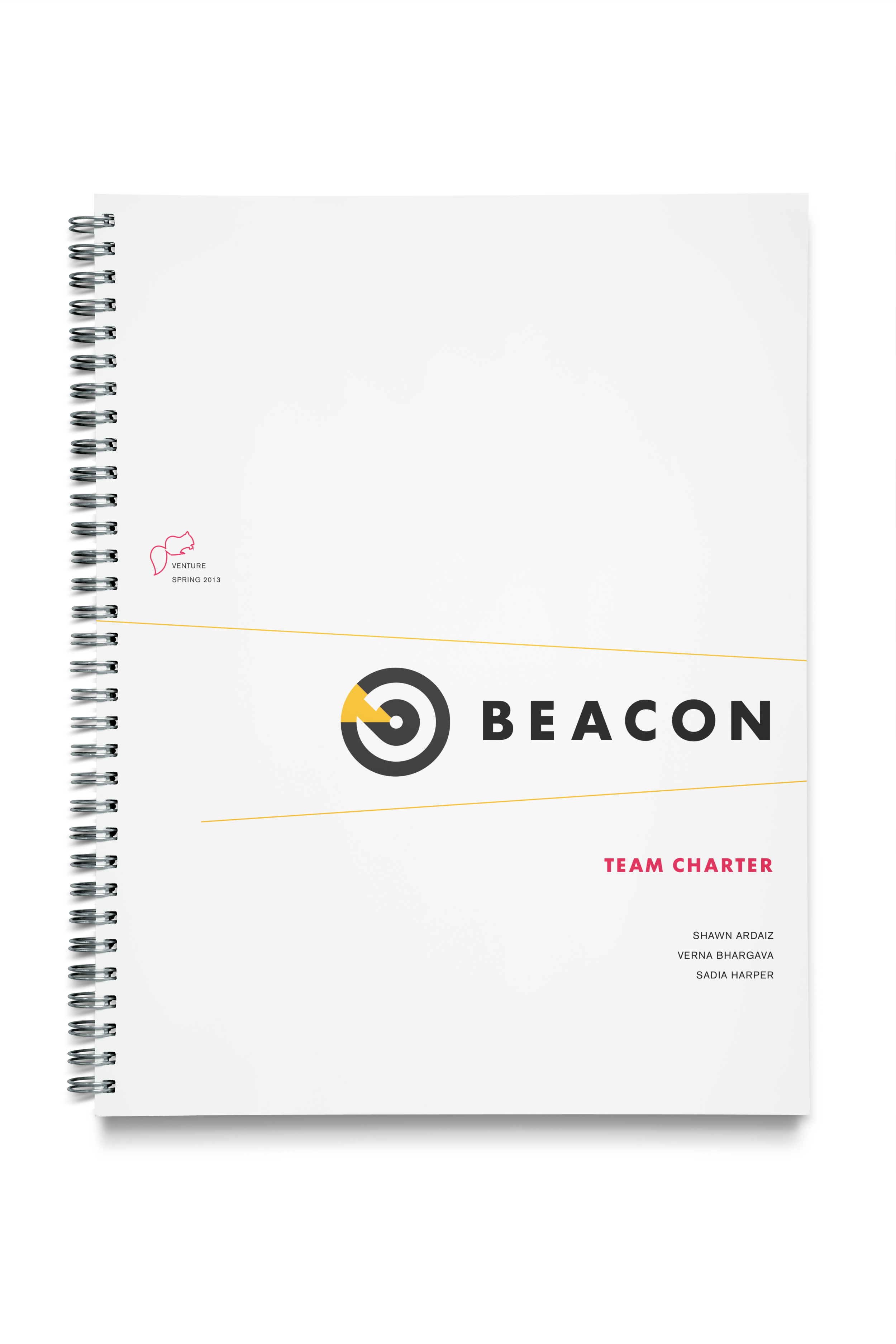 The team charter outlines the internal culture, vision, and workflow of the company. 