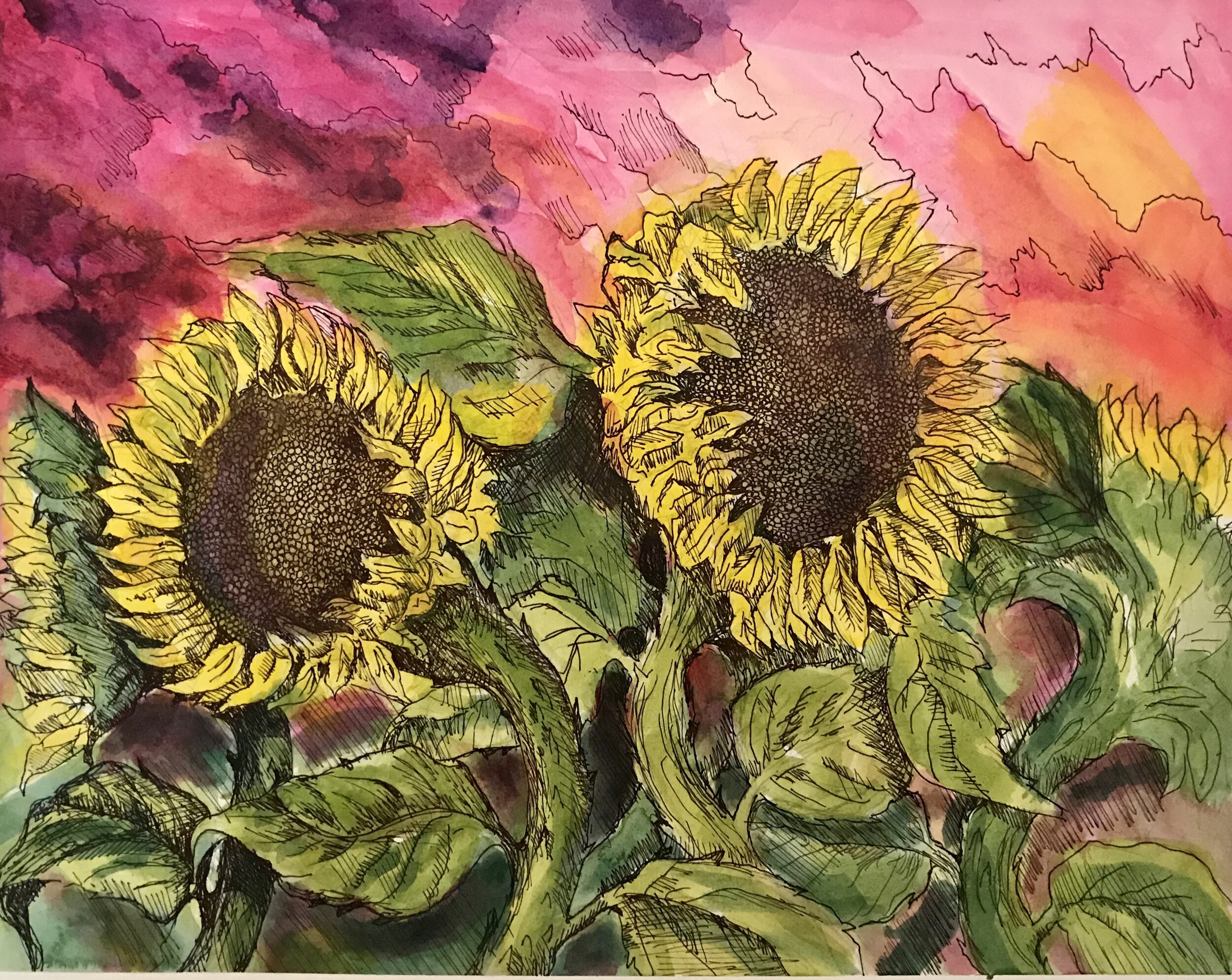 Sunflowers with Pink Sky