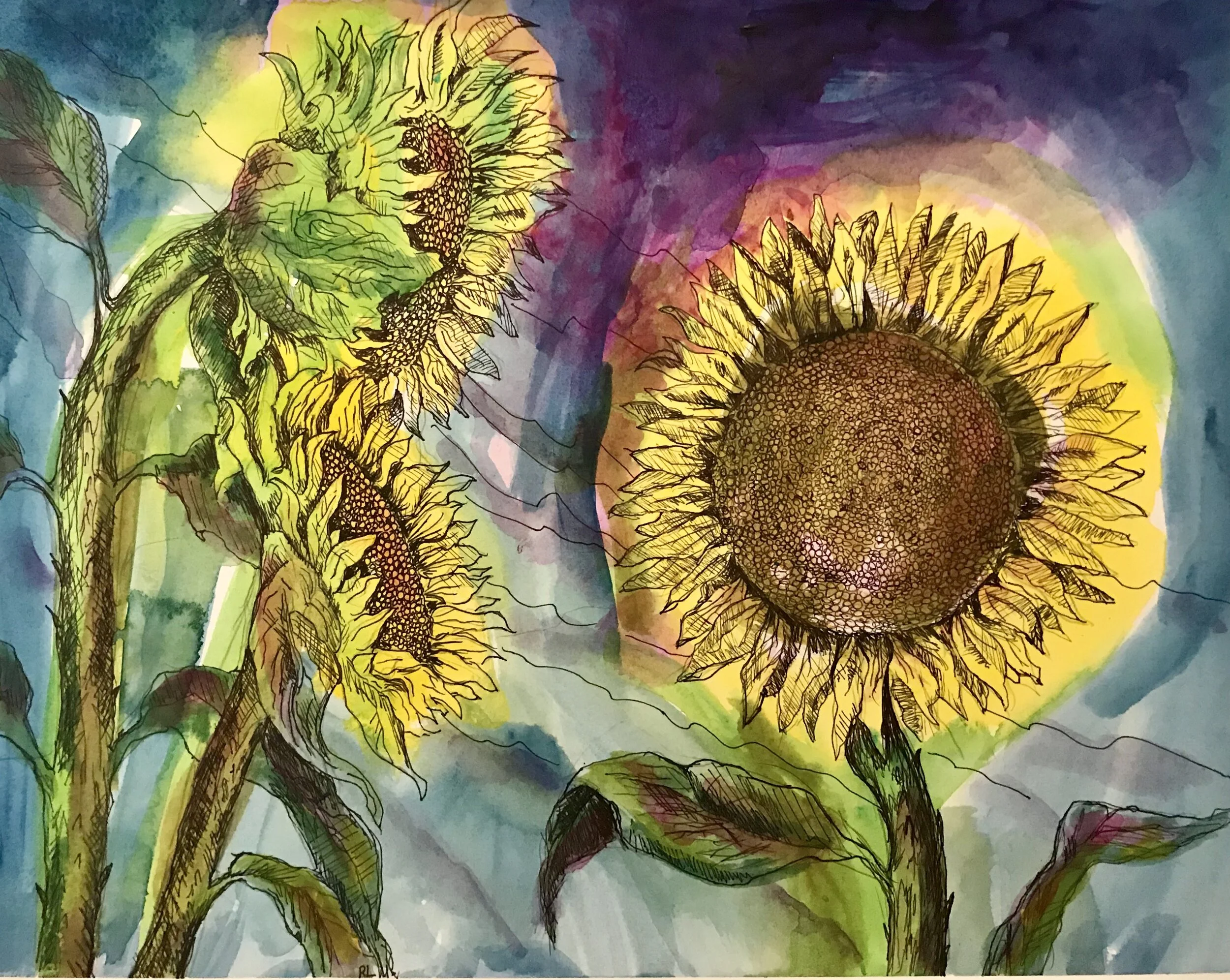 Three Sunflowers 