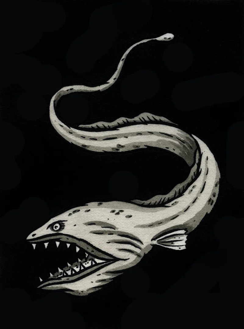 fish7.jpeg