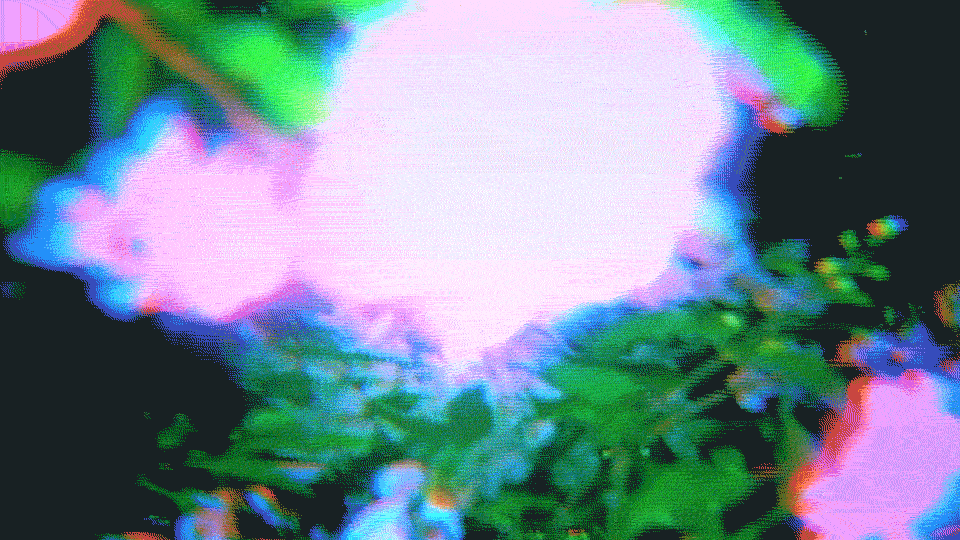 SCK_WEBSITE_JULY-23_LOOP_3.gif