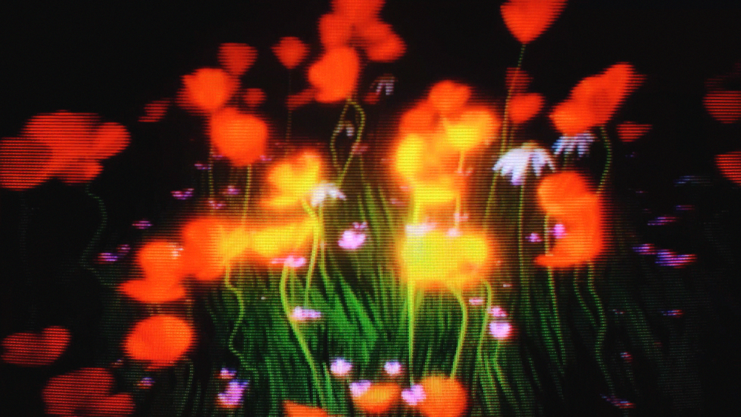 LA LUZ STILLS 4K (0-00-07-01).png
