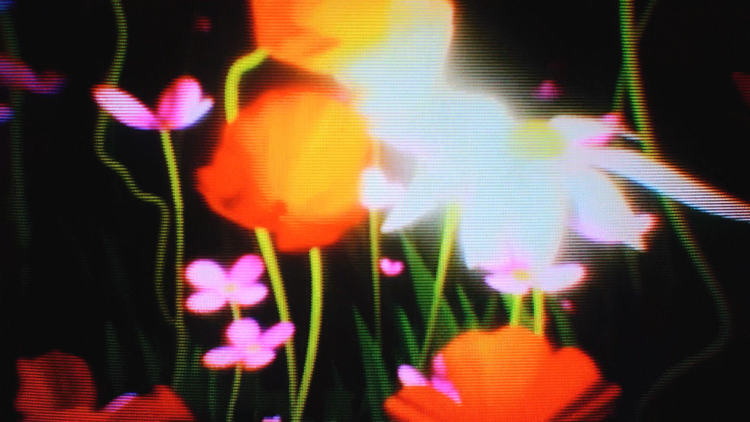 LA LUZ STILLS 4K (0-01-45-04).png