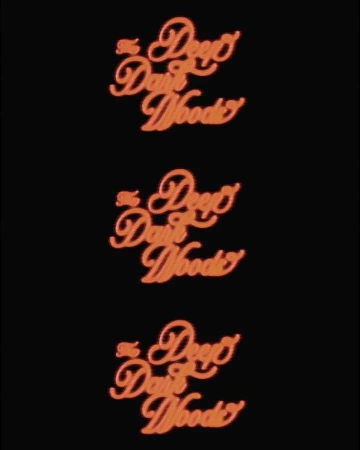 Clips from Ruby / The Deep Dark Woods 

@deepdarkwoods @victorypoolmusic 

Shot by @jessedandelion &amp; @evelynhofmann 
Directed/edited/animated by me 🌝