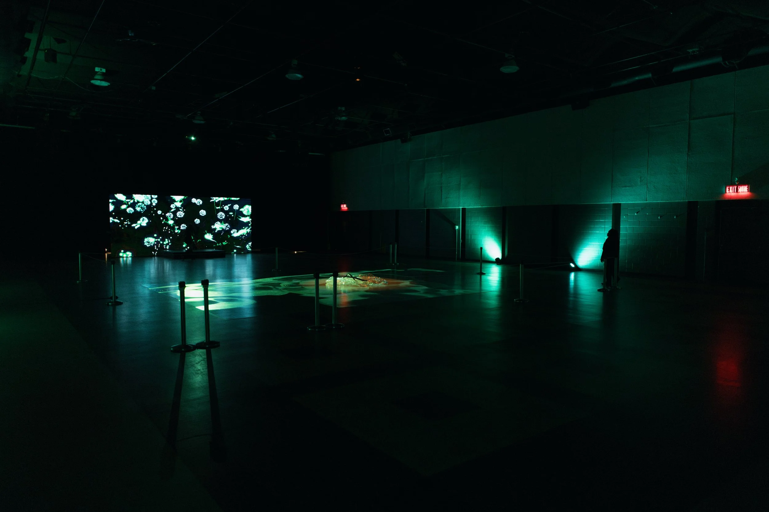 Hyperart 2025 Sept 27 Photos-178 (1).jpg