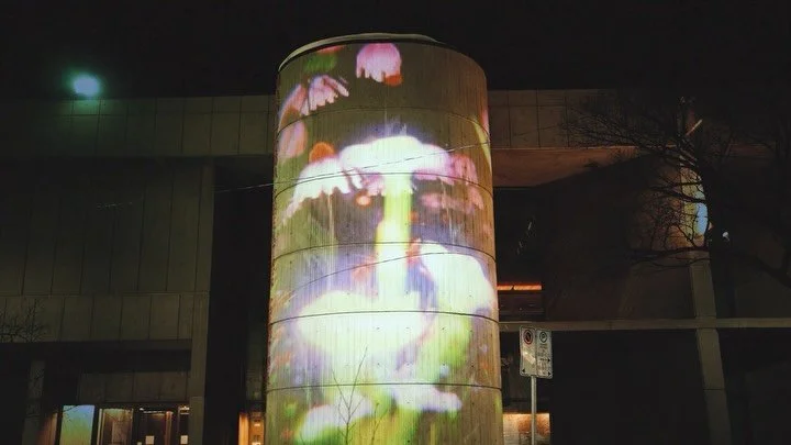 Just over a week left to view Inflorescence II as part of Lights on The Exchange @exchangedistrictwpg Thank you again to @manufacturing_entertainment for presenting this work and thank you to @saskarts for supporting in its development through the in