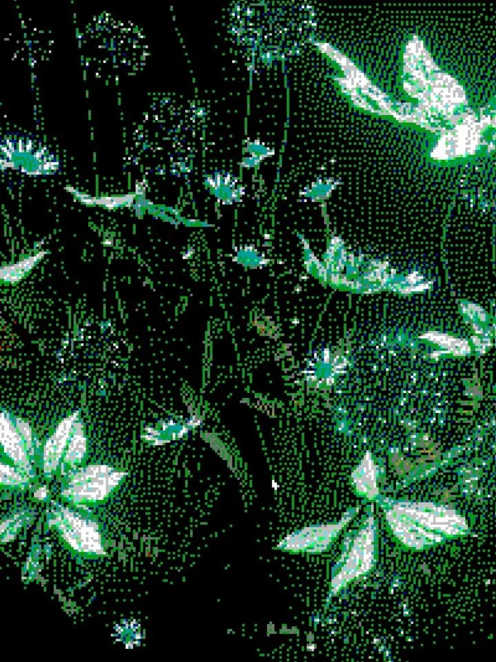 We at @hyperartfest are excited to share the second iteration of Topologies tonight as part of @nuitblancheyxe 🌱✨ Swing by the corner of Broadway and 11th (Victoria school) to interact with a motion-reactive version of the A/V  installation we opene