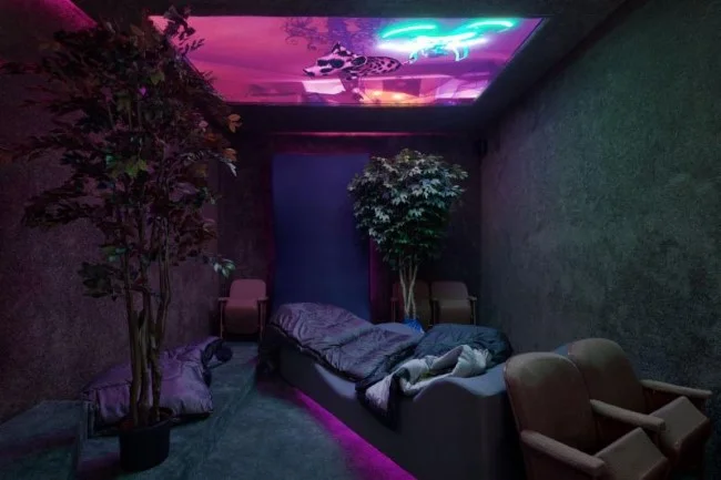 Yielders Path by Lizzie Fitch and Ryan Trecartin Andrea Rosen Gallery, April 2015 Sewn gamer lounge beds Nylon canvas and foam-backed mesh Image courtesy of Regan Projects