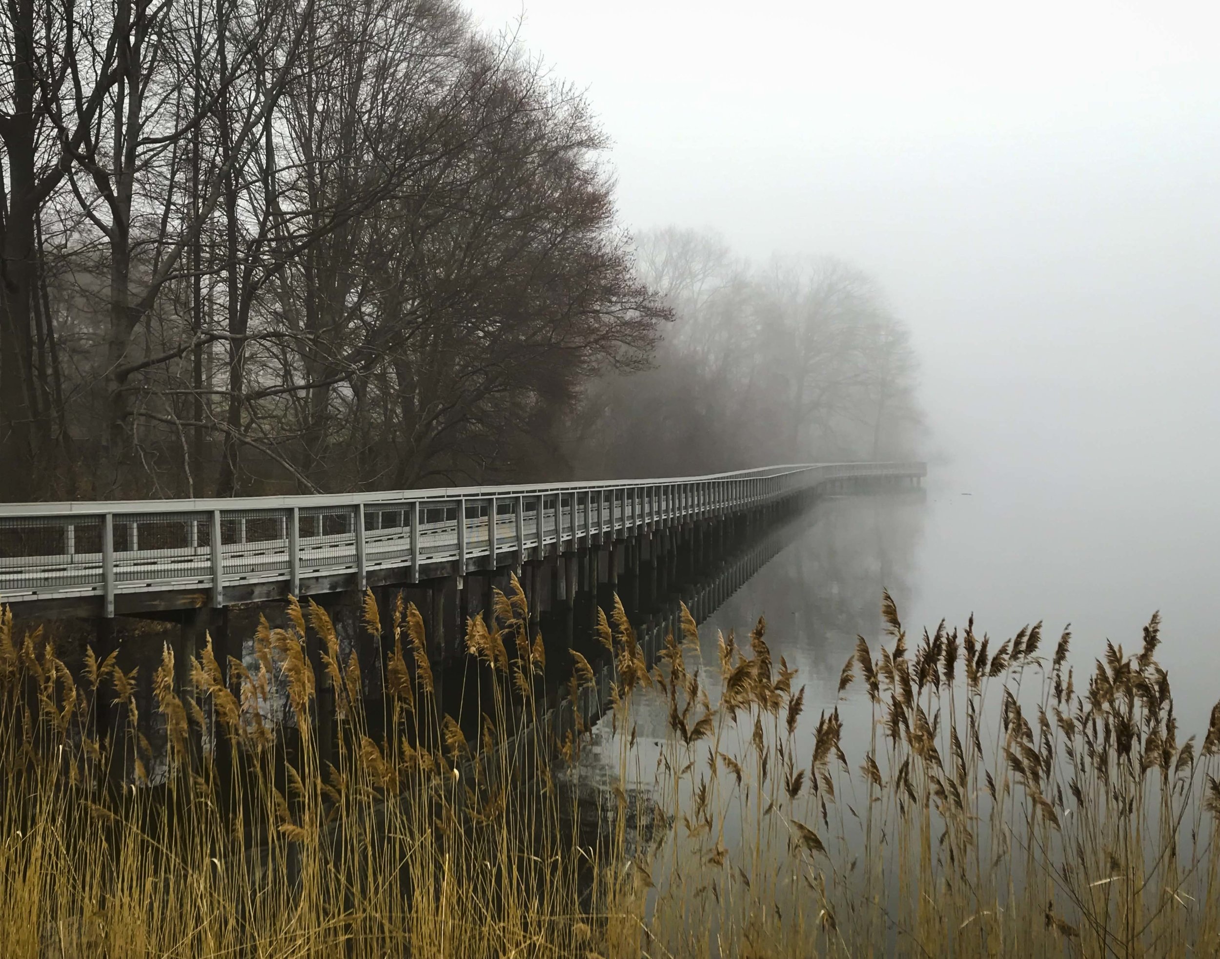 Congers Lake, NY