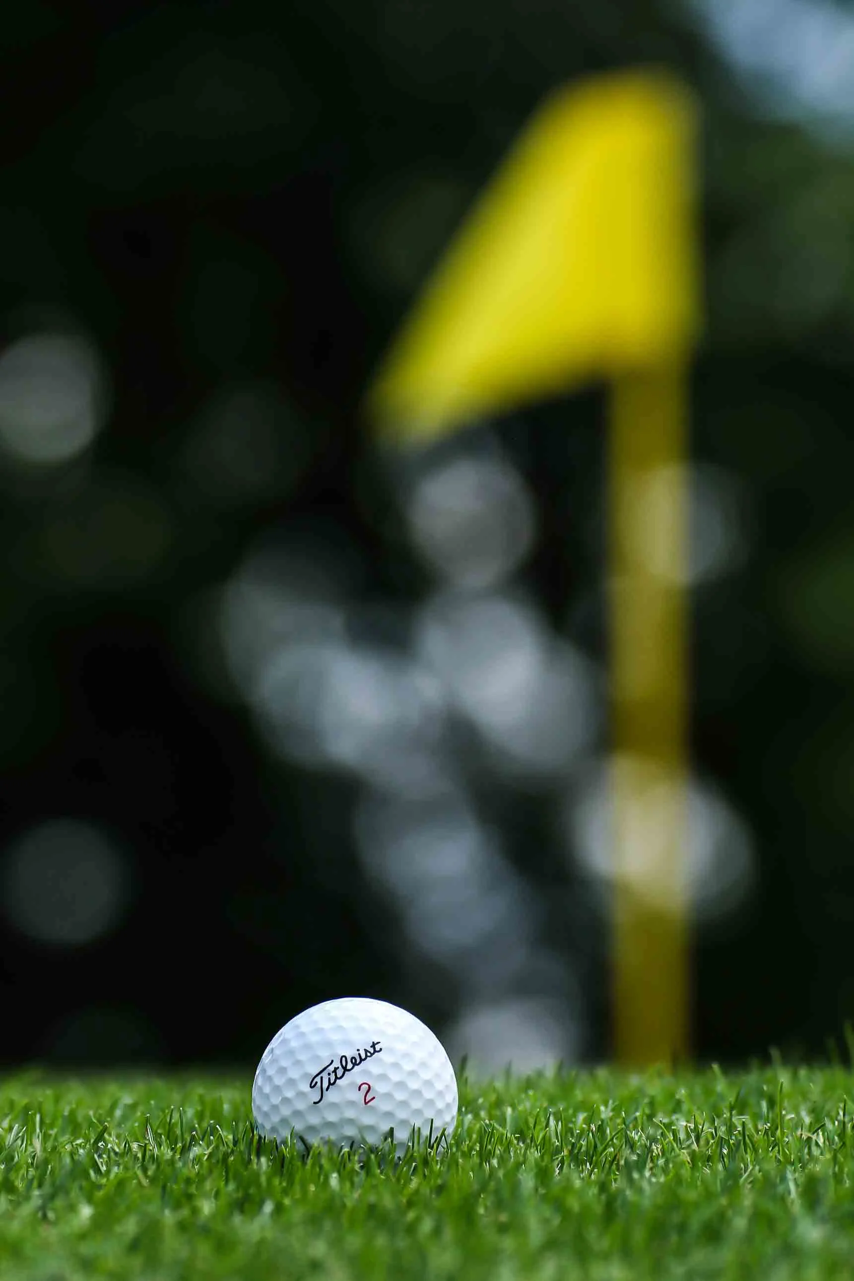 GolfBall2015-Small-1.jpg