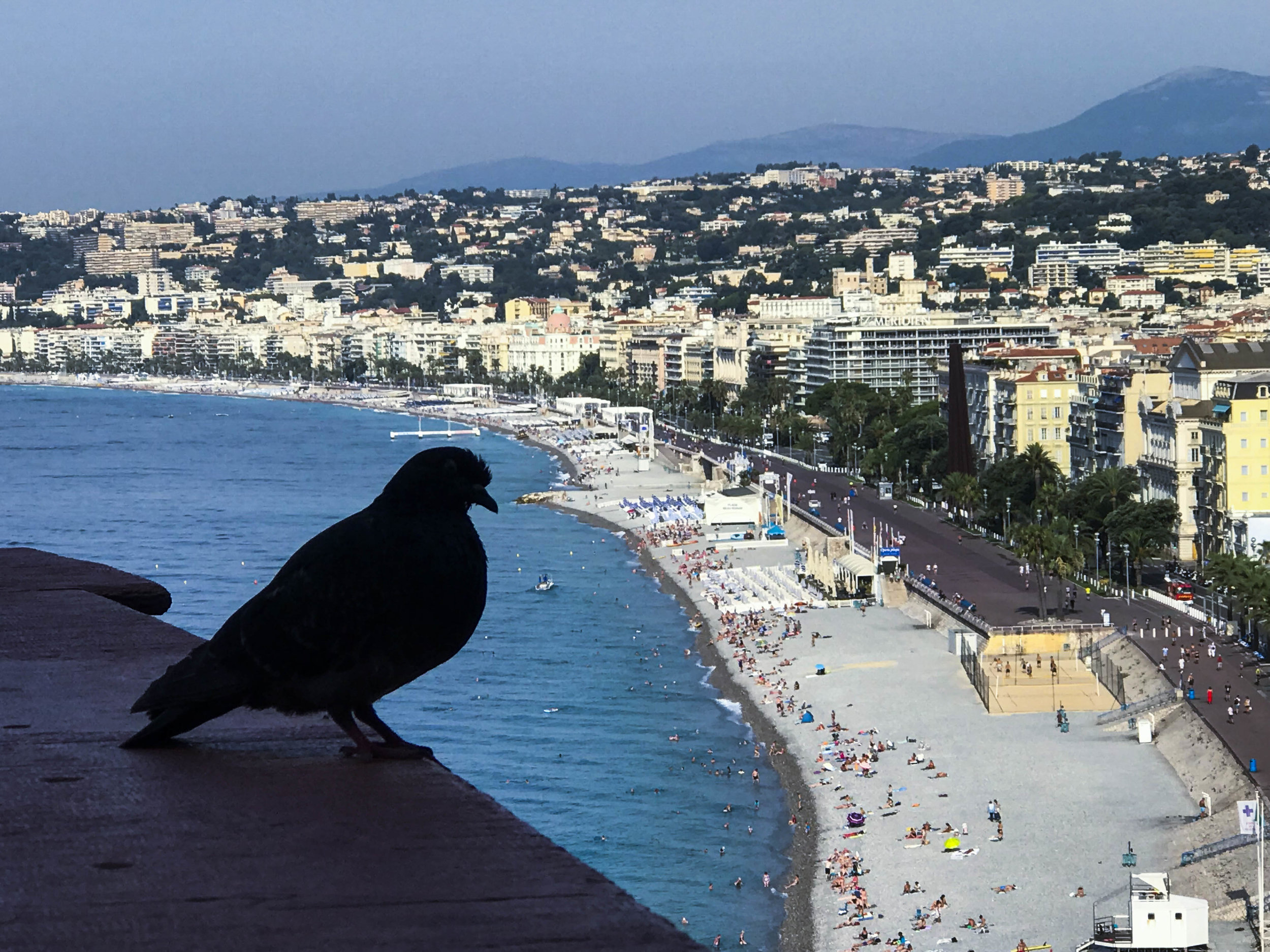 Birds Eye View - Nice, France