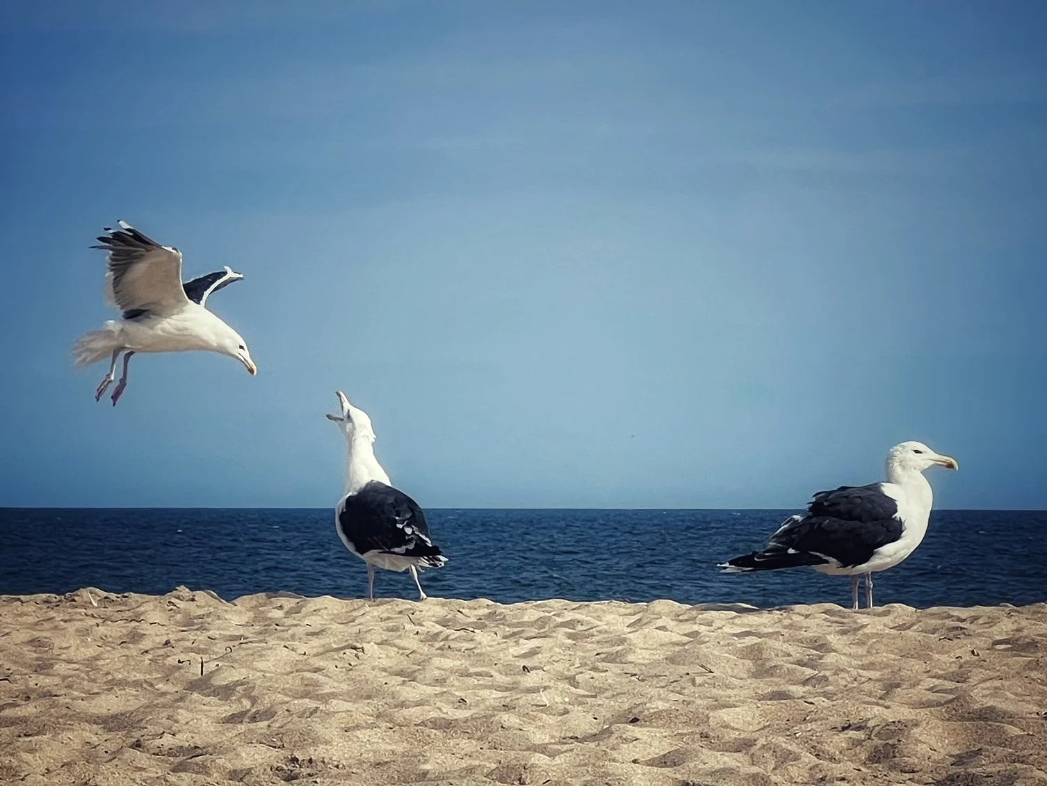 Montauk, NY