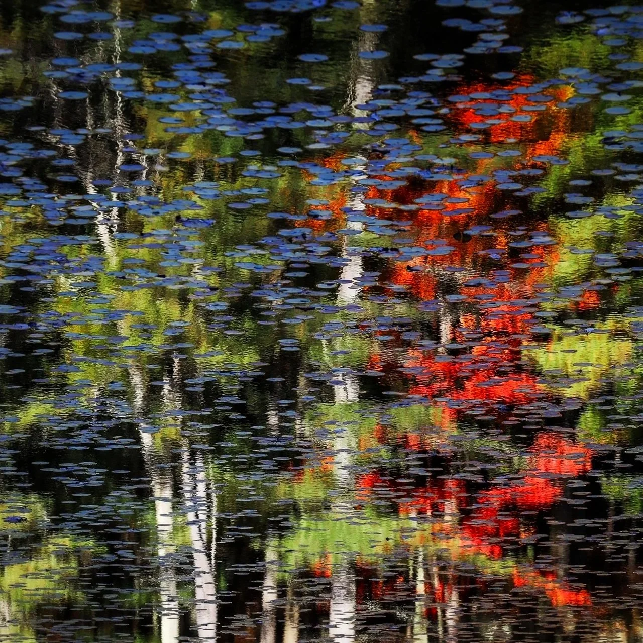 Monet